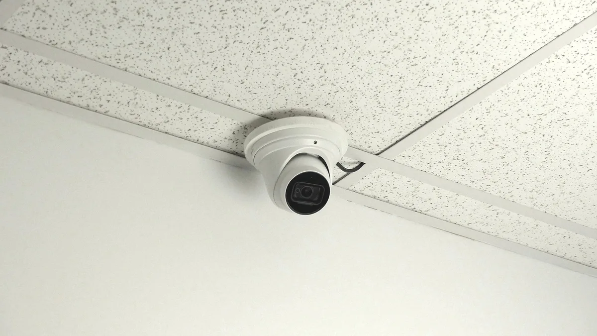Dome Cameras