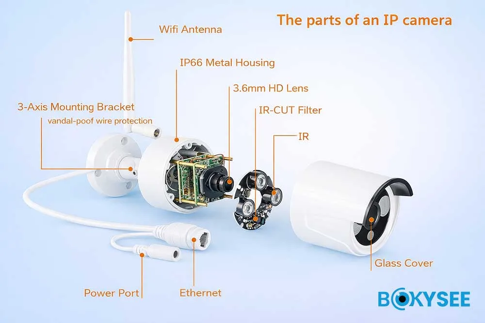 IP Cameras